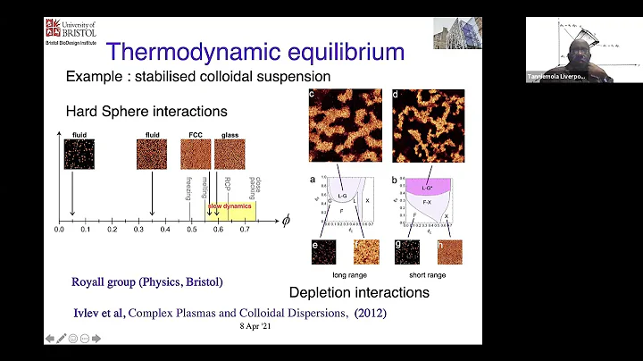 Colloquium Apr 8, 2021 - Non-equilibrium Steady States in Active Motile Matter