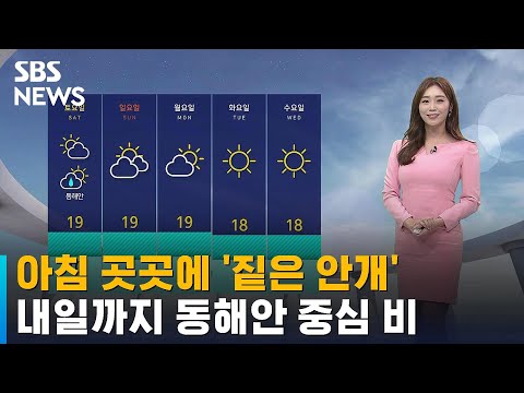 [날씨] 아침 내륙 곳곳에 '짙은 안개'…동해안 중심 비 / SBS
