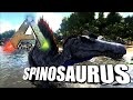 Taming A Spinosaurus | Ark Survival Evolved | The Island