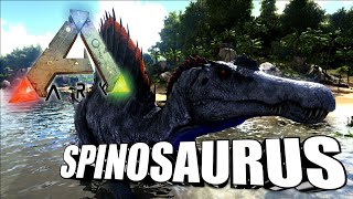 Taming A Spinosaurus | Ark Survival Evolved | The Island