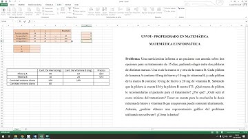 Programación lineal - Problema de dieta - Solver de Excel