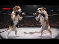 FULL FIGHT | Beagle vs Bulldog | MMA Fight | PAWFC #MMA #FullFight #PAWFC