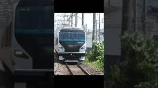 E257系特急踊り子　大磯駅通過