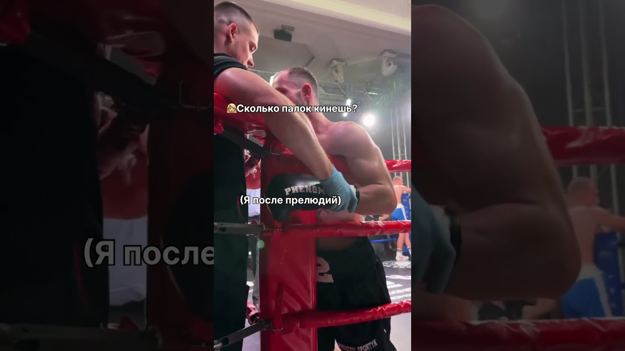 Сколько палок кинешь?