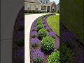 Massive Front Yard Glow-Up: From Grass to Garden Bed