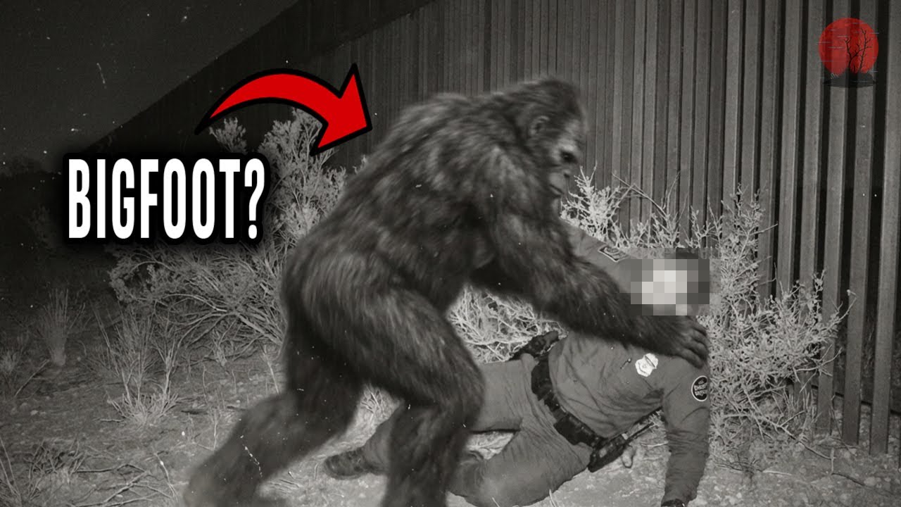 Я ПОГРАНИЧНИК. ТОЙ НОЧЬЮ НА МЕНЯ НАПАЛ БИГФУТ - Жуткая История