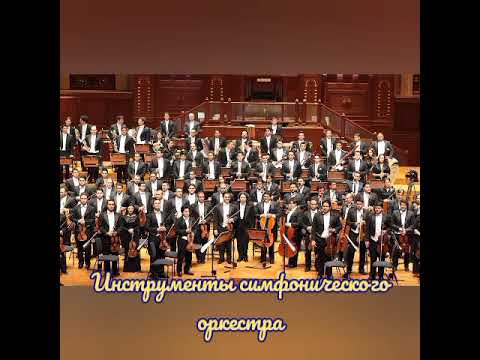 Инструменты симфонического оркестра/видео лекция