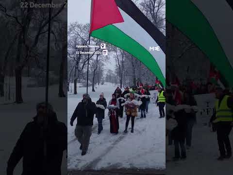 Rally Held In Sweden Honours Palestinian Children