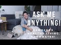 VERY Chatty Ask Me Anything while Grooming! | Samoyed Care, Healthy Living, Emzotic as a Roommate!