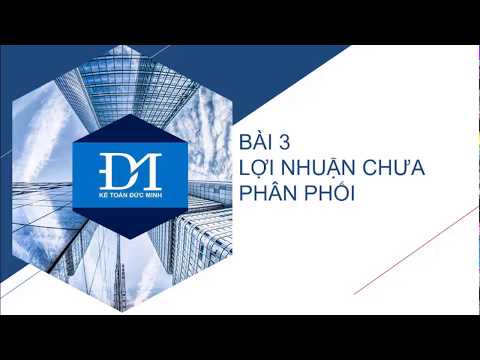 Video: Cách Phản ánh Lợi Nhuận Trong Kế Toán Thuế