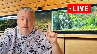 My 1 Rule that always works with aquariums - Episode 305