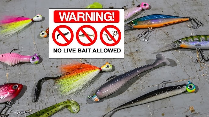 Walleye Lures – 5 Best Lures To Catch Spring Walleyes Fast In 2019 