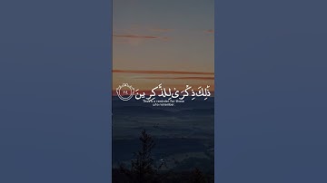 اكتب شي تؤجر عليه ❤️ ｜ القارئ محمد ديبيروف ｜ قرآن كريم