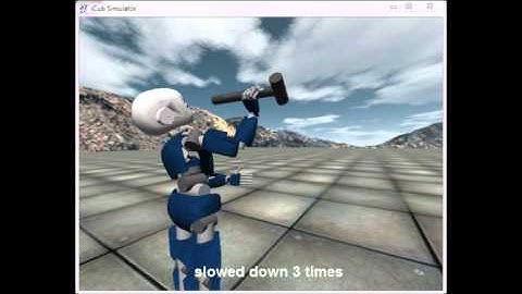 Catching objects in Flight (2012), short