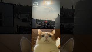 POWER OF SUNLIGHT 😆 #shorts #viral #funny