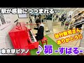 【ストリートピアノ】谷村新司さんありがとう!! 東京駅のピアノで『昴 -すばる-(谷村新司)』を弾いたら、駅が感動につつまれる・・・