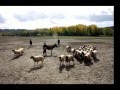 اجمل المدن المغربية 2016