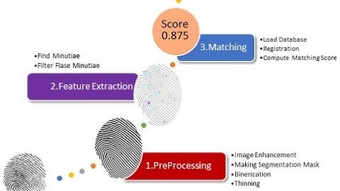 Matlab code for Fingerprint Recognition and Matching using Image Processing | Fingerprint Detection