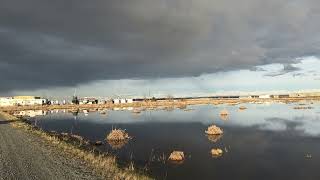 Cannery Road Pond. Kenai, Ak