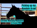 Picking Up my Extreme Mustang Makeover Draw! | Los Angeles