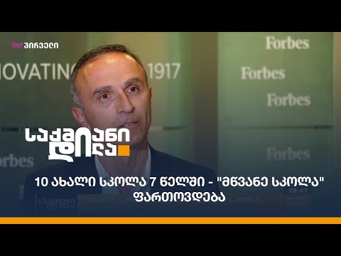 10 ახალი სკოლა 7 წელში - \"მწვანე სკოლა\" ფართოვდება