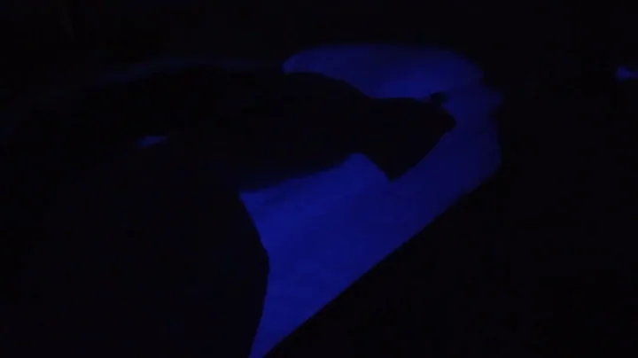 LED black light vs fluorescent black light