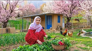 IRAN Daily Village Life : Life in the Coldest Mountain Village in Iran