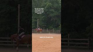 Raw as requested! Other pov will be out soon #equestrian #viralstory #fypシ #fail #viral #horse