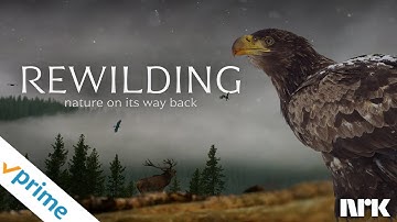 Rewilding | Trailer | Available Now
