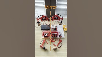 Mojo5 Inverse Kinematics - Mirror Motion  #quadruped