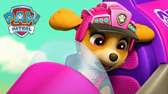 Skye Saves a Pterodactyl! 🦖  - PAW Patrol - Cartoons for Kids