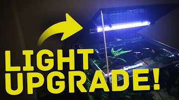 Is This The Perfect Light Upgrade for Your Fluval Flex?