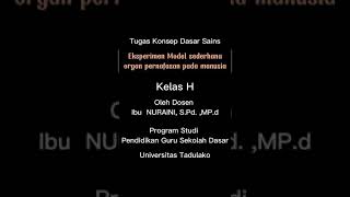 Contoh Sederhana Organ pernafasan pada manusia