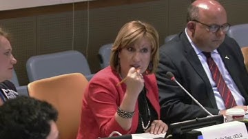 Capacity Building Session Local2030 HLPF Special Event