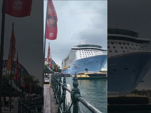 Sydney Australia Cruise Port | Must-See Views! #shorts