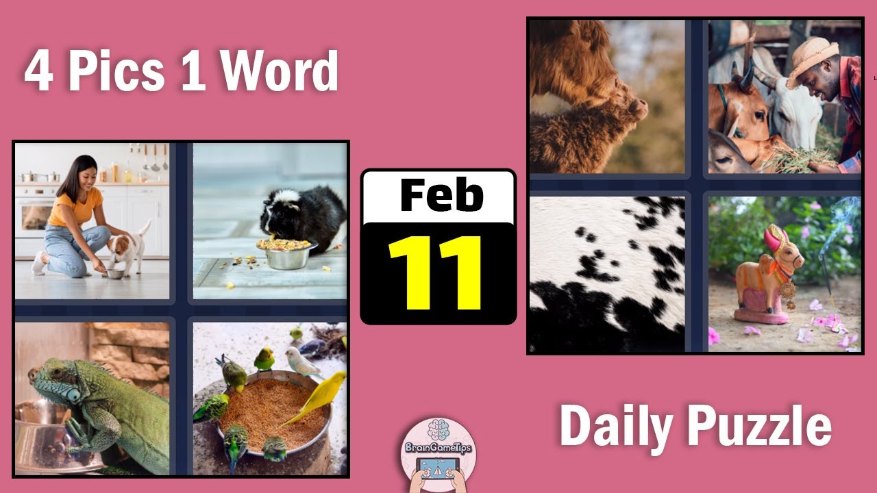 4 Pics 1 Word - Daily Puzzle February 11 2022 Answer