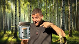 картинка: Як добути березовий сік? Лайфхаки, користь і цікавинки!