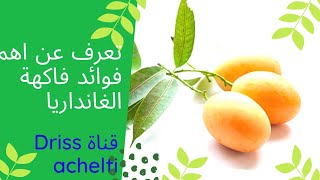 فوائد فاكهة الغانداريا لا تعد ولا تحصى.تعرف عن أهمها.