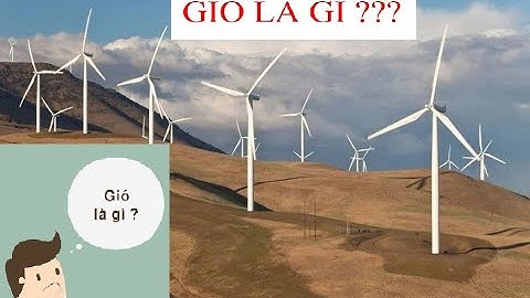 Gió là gì nguyên nhân nào sinh ra gió năm 2024