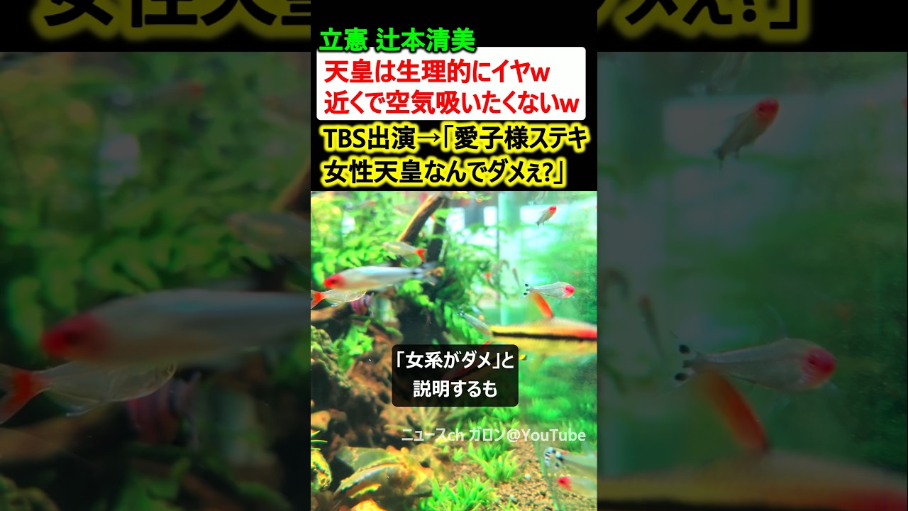 立憲 辻本清美「天皇は生理的に嫌」→TBS出演「愛子様ステキ、女性天皇なんでダメ?」