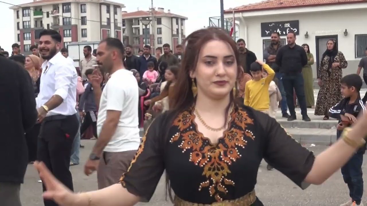 Dom aşiretin osmanların ahmet korkmazın düğünü part13 dügün