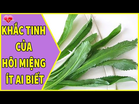 Cách Chữa Hôi Miệng Hiệu Nghiệm Cho Mọi Lứa Tuổi Bằng Lá Mùi Tàu