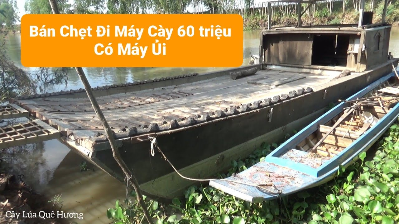 Bán Chẹt Đi Máy Cày 60 triệu Lh0339187270