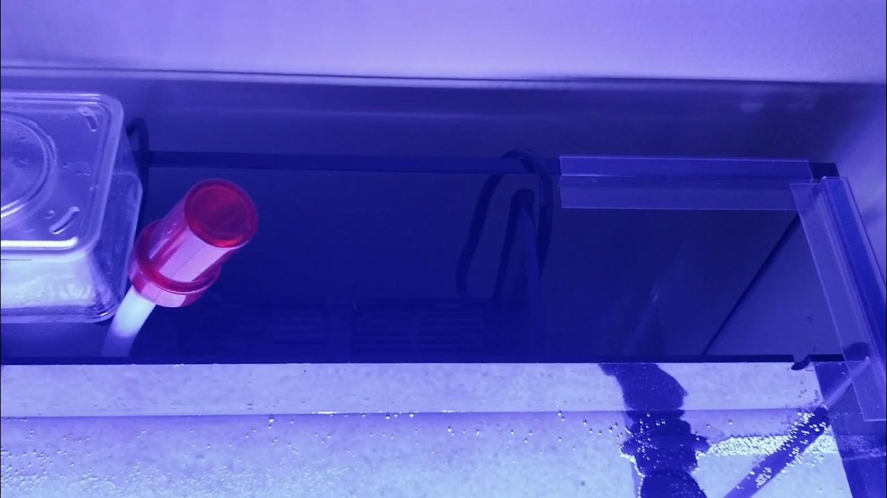 Aquatop 24g Week 1 (day 1) The Aquatop 24 gallon Nano Reef Tank
