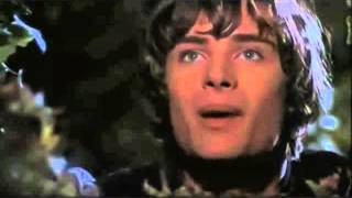 I Still Do  The Cranberries