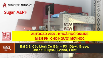 Autocad 2020 - Bài 2.3: Các Lệnh Cơ Bản – P3 | Dtext, Erase, Ellipse, Extend, Fillet | Sugar MEPF
