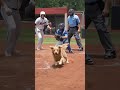 Lucky he was there to get a run. 🤣🤣 #ai #foryou #baseball #shotime #mlbpostseason #baseballdreams