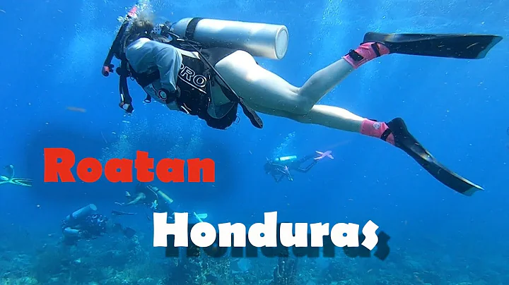 Diving Roatan with Anthony's Key