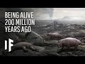 What If You Were Alive 200 Million Years Ago