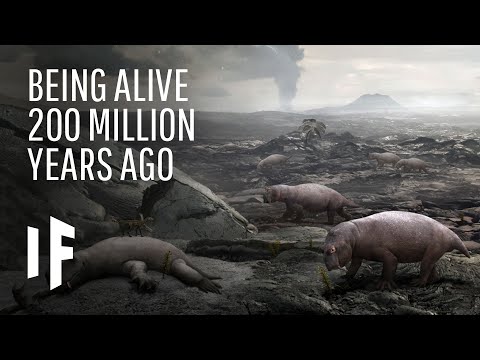 Video: The First Dinosaurs On Earth Appeared 5-10 Million Years Earlier Than We Thought - Alternative View